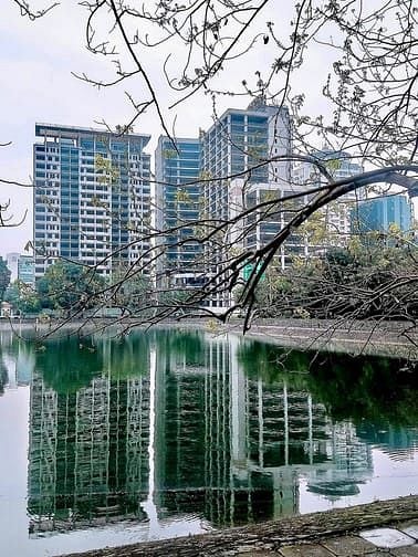 Diamond Park Plaza