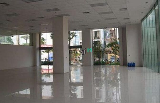 Tòa Nhà Văn Phòng Plaschem Plaza