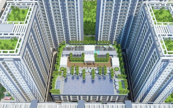 Cát Tường New