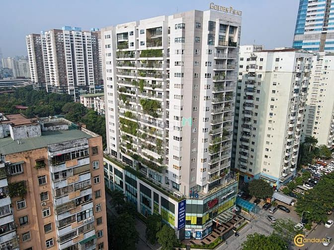 C3 Tower - Golden Palace