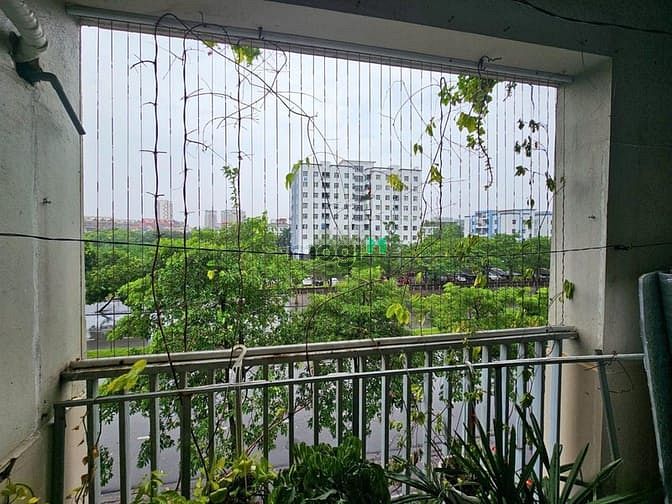 New Space Giang Biên