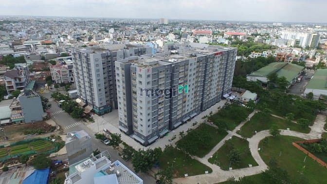 Tanibuilding Sơn Kỳ 2