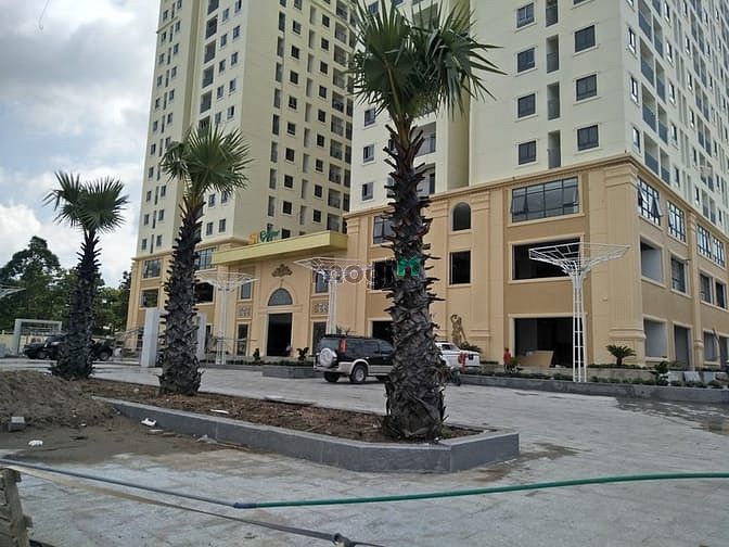 Stown Thủ Đức