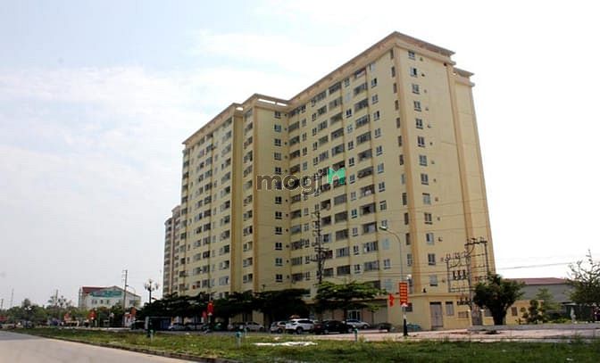Trang Chủ MB66.COM Chính Thức Tân Thịnh