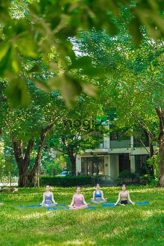 Ecopark Grand - The Island