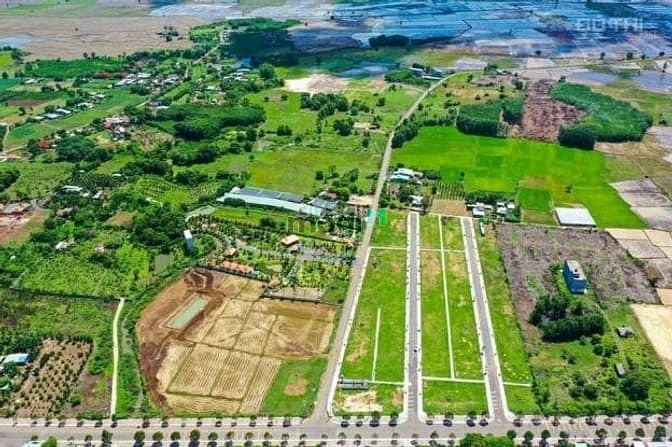 Khu dân cư 2.6ha Đất Đỏ