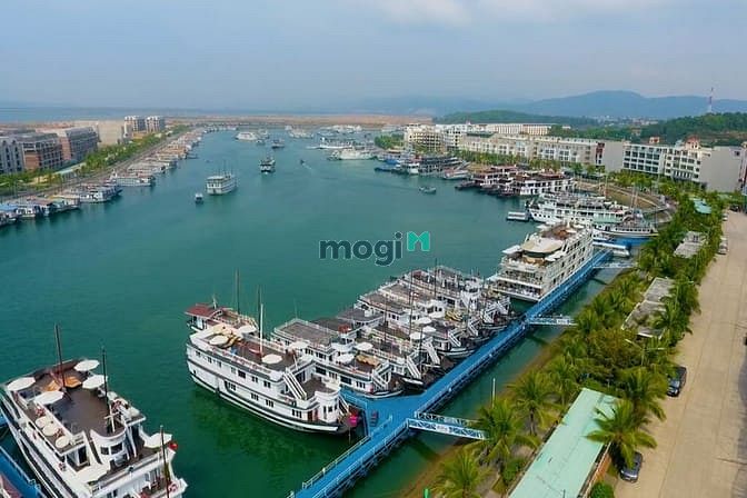 Tuần Châu Marina Hạ Long