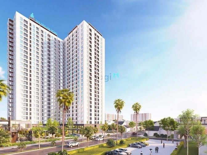 Chung cư 389 Dream Home