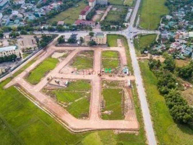 Hưng Lộc Homes