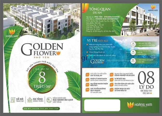 Hoàng Kim Golden Flower