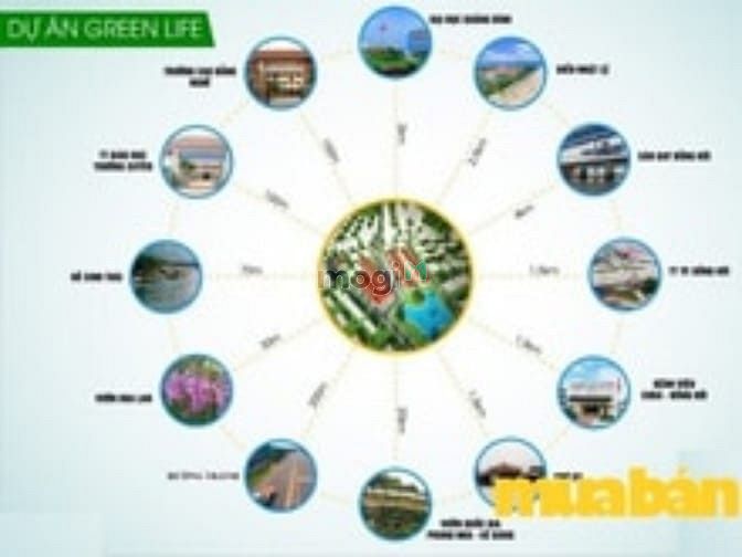 Green Life