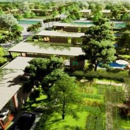Organic Garden