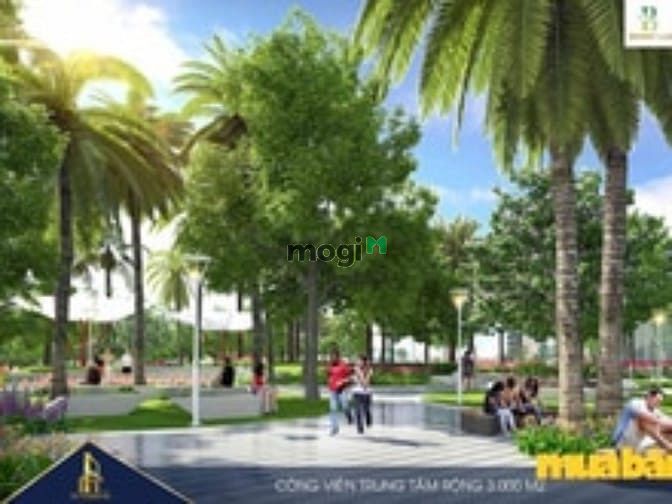 Sunshine City Quảng Nam