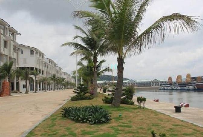 Khu đô thị Cảng Ngọc Châu
