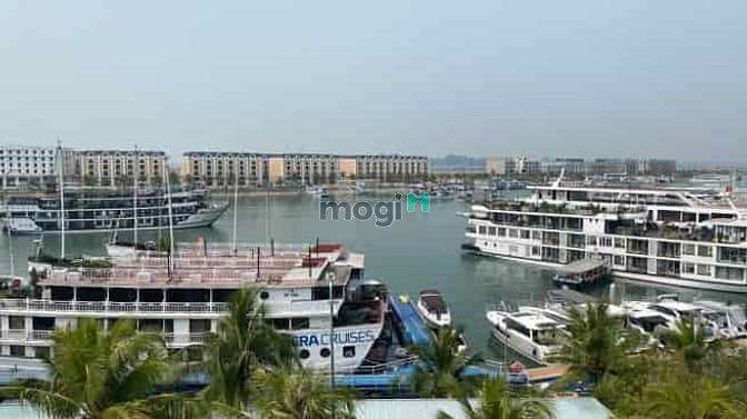 Khu đô thị Cảng Ngọc Châu