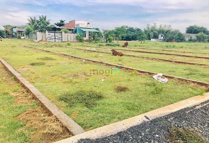 Hoa Khải New Land