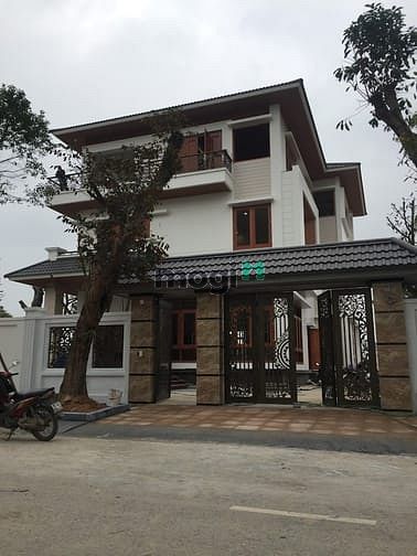 Times Garden Vĩnh Yên