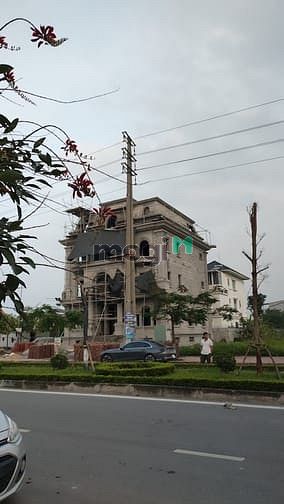 Times Garden Vĩnh Yên