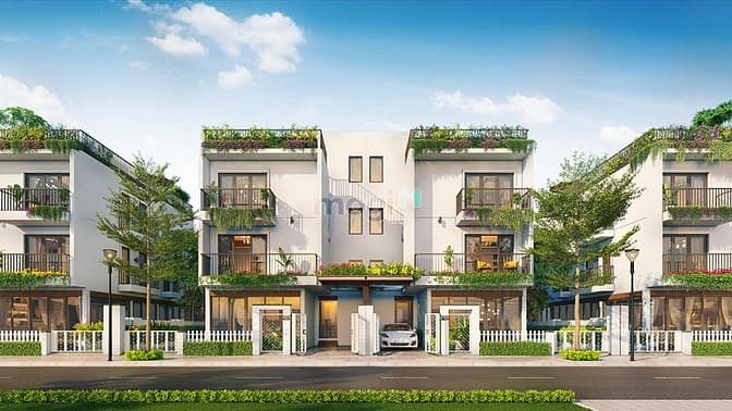 Vlasta Sầm Sơn