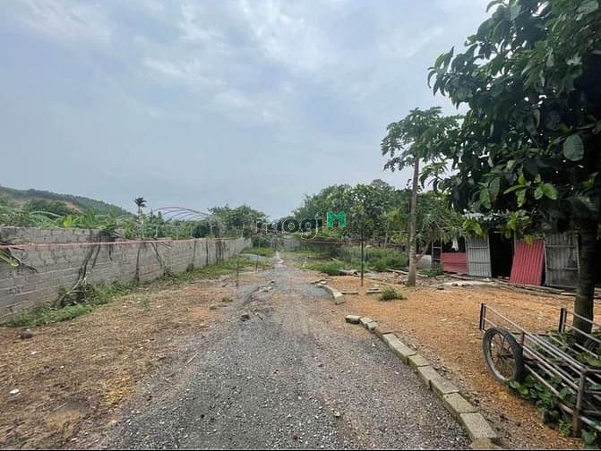 Ban Mai Villas Bãi Cháy