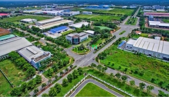 Cụm công nghiệp cảng cá Hòa Lộc