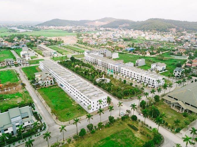 Eco Forestina