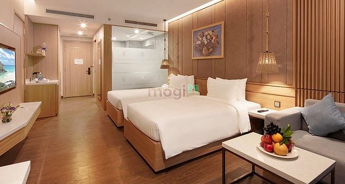 Virgo Nha Trang