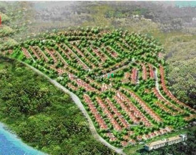 Làng biệt thự Tâm Hương