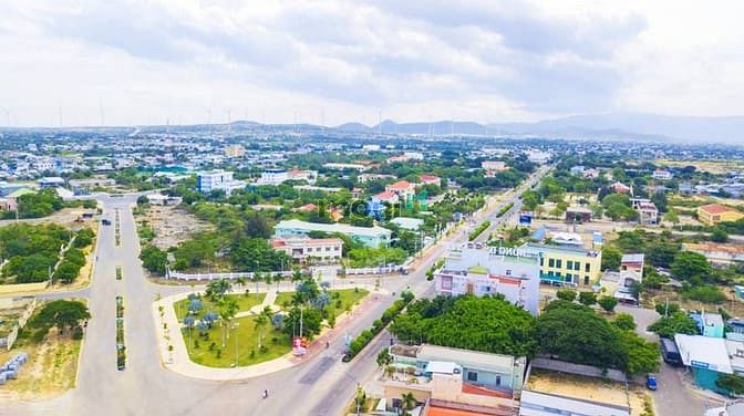 Palm Town