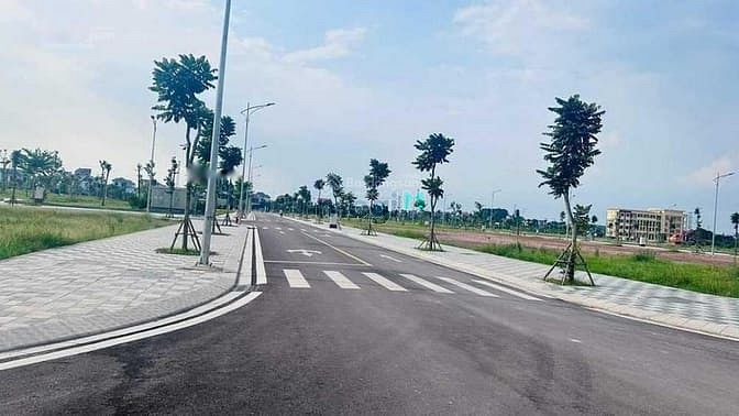 Palm Town