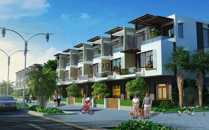 Palm Town