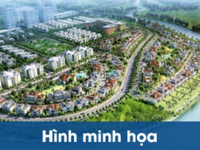KĐT Ecohomes Tri Thức Trẻ