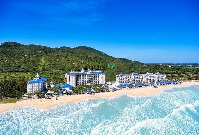 Lan Rừng Phước Hải