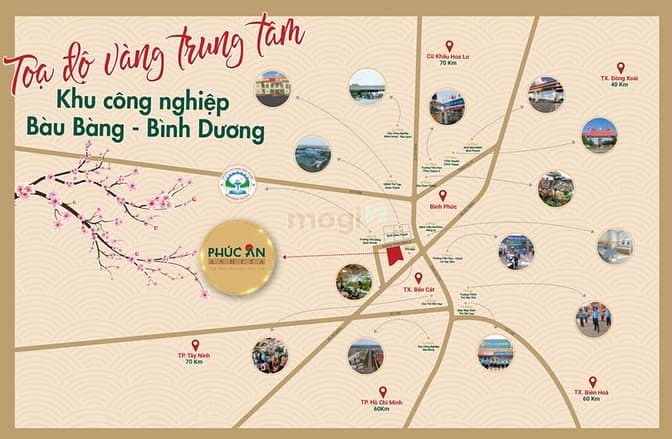 Phúc An Ashita Bình Dương