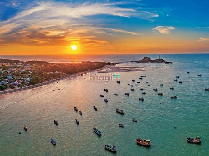 Paradise Bay