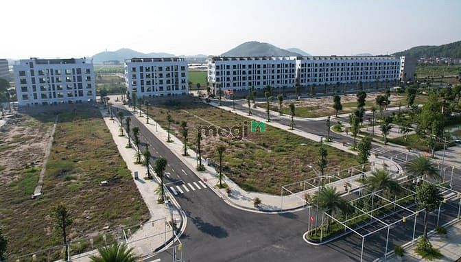 Amdi Green City