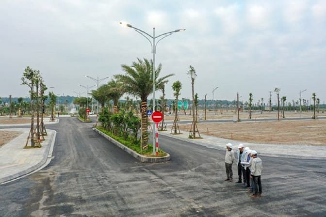 Amdi Green City