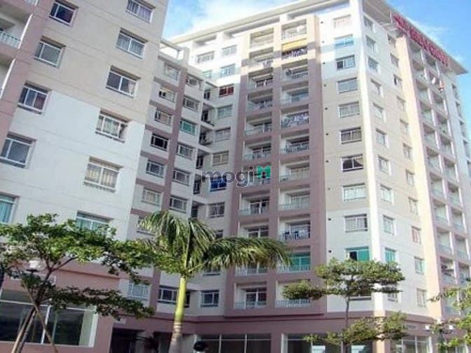 Hoàng Sâm - 151 Hoàng Quốc Việt