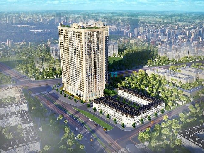 Aurora Garden