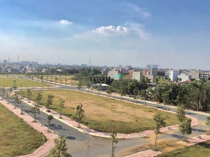 Singa City