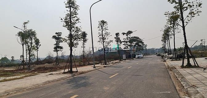 Him Lam Thụ Ninh