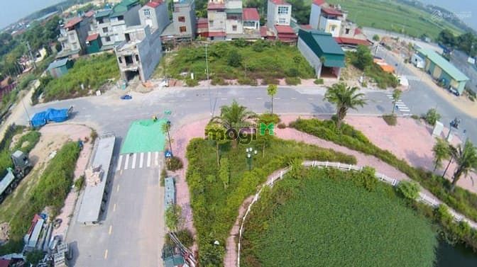Dabaco Lý Thái Tổ