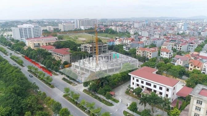 Dabaco Lý Thái Tổ