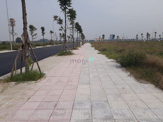 Khu đô thị Rosy Garden
