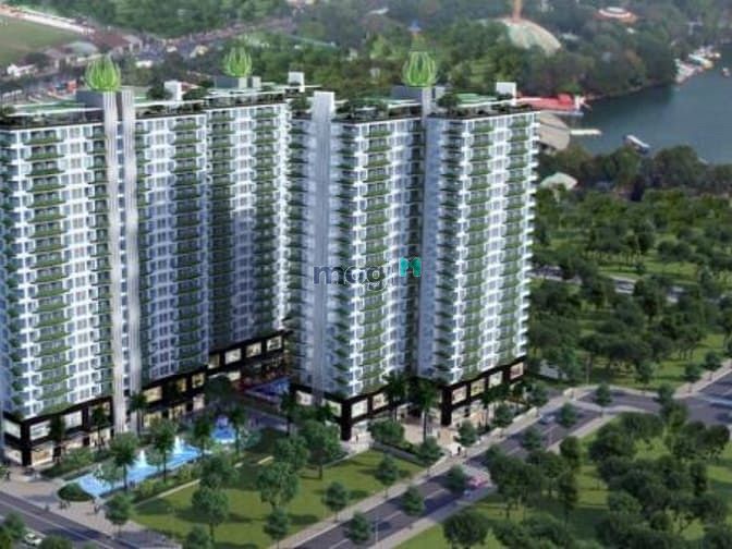 Lotus Lake View