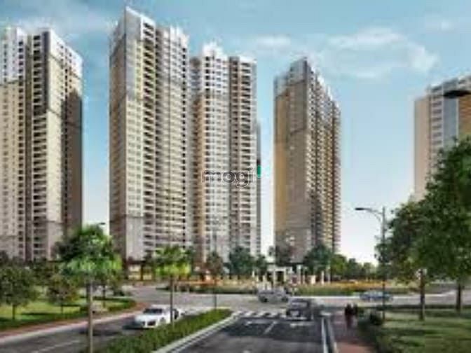 Nhà phố Thuận Phát