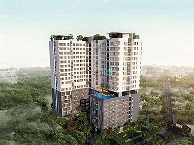Orchard Ggarden