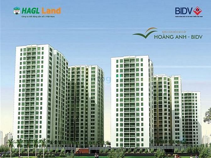 Hoàng Anh Gia Lai 2