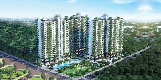 Diamond Lotus Lake View