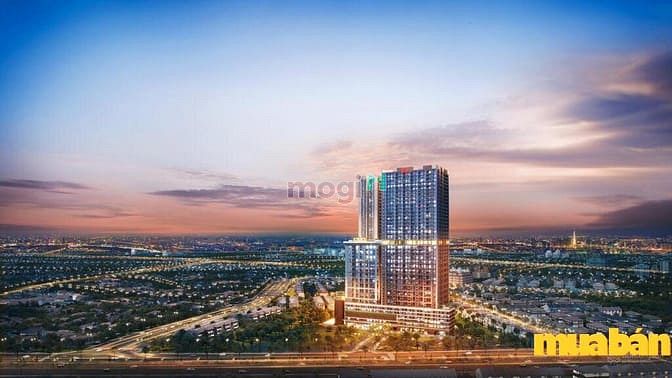 PiCity Sky Park